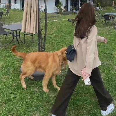 非正常动物研究中心